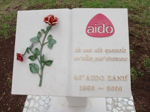 monumento_aido_libro